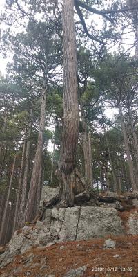 Прикрепленное изображение: 333.jpg